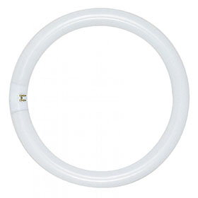 Satco S6501 22w FC8T9/D 22w Daylight Bulb