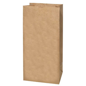 LAWN BAG  7579774 7579774 30 GAL LEAF & LAWN PAPER BAG BIODEGRADABLE 5 PACK