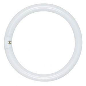 SATCO S6500 22W FC8T9/CW CIRCLINE FLUORESCENT BULB