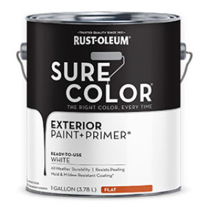 RUST-OLEUM 394670 SURE COLOR EXTERIOR PAINT AND PRIMER FLAT WHITE