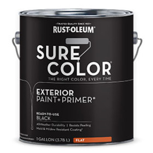 RUST-OLEUM 394669 SURE COLOR EXTERIOR PAINT AND PRIMER FLAT BLACK