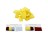 FOAM PRO 41 COLOR MATCH APPLICATOR (1000PK)TESTER
