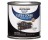 RUST-OLEUM PAINTER'S TOUCH 1979730 ULTRA COVER GLOSS BLACK LATEX PAINT