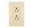 PASS & SEYMOUR  885ICC21 15A 125V CC DECOR OUTLET 2-POLE 3-WIRE IV