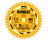 DEWALT DWA271440B10 7-1/4" 40T CIRCULAR SAW BLADE BULK