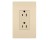 PASS & SEYMOUR  885TRICC8 DECOR 15A RECEPTACLE TAMPER-RESIST IVORY CC8